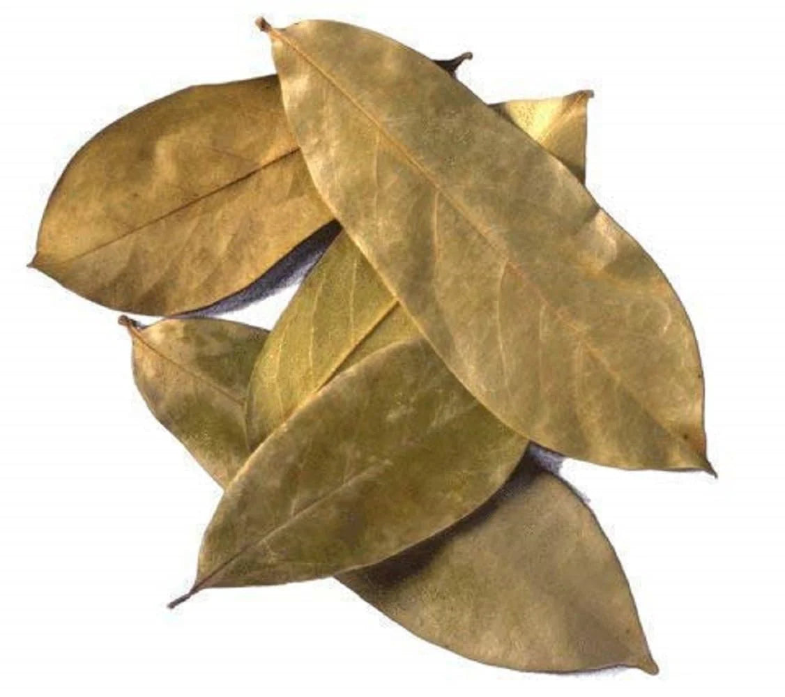 Soursop Leaves (annona muricta)