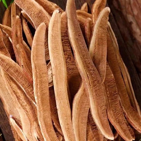 Reishi Mushroom Slices - Totally Natural Skincare