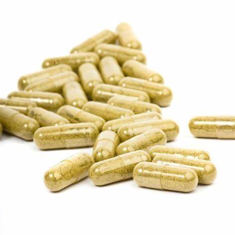 Turkey Tail Extract Capsules (organic) - Totally Natural Skincare