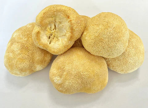 Lion's Mane Whole