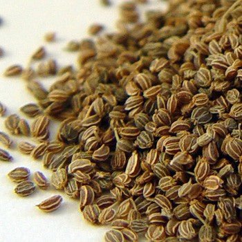 Celery Seed Tincture - Totally Natural Skincare