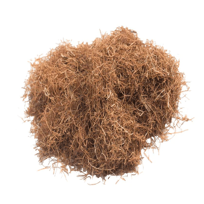Cornsilk Stamens - Totally Natural Skincare