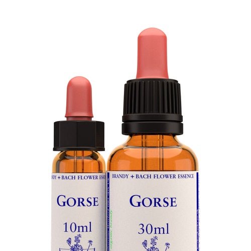 Gorse - Totally Natural Skincare