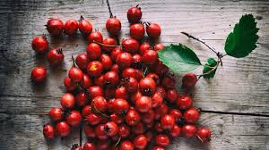 Hawthorn Berry Tincture (organic)