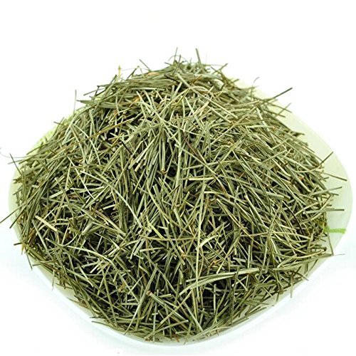 Pine Needle Tea - Totally Natural Skincare