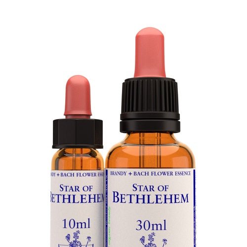 Star Of Bethlehem - Totally Natural Skincare